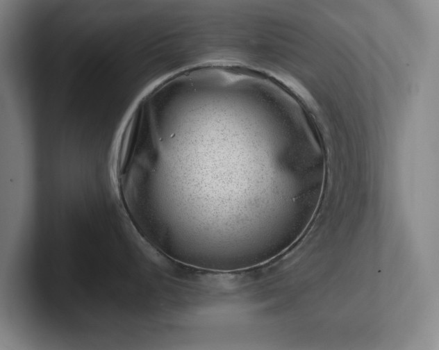 X0000101961248200807251148