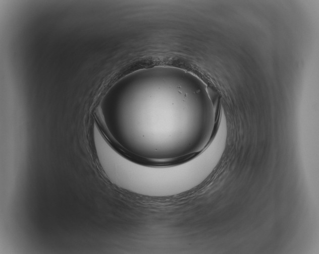 X0000101961249200807251147