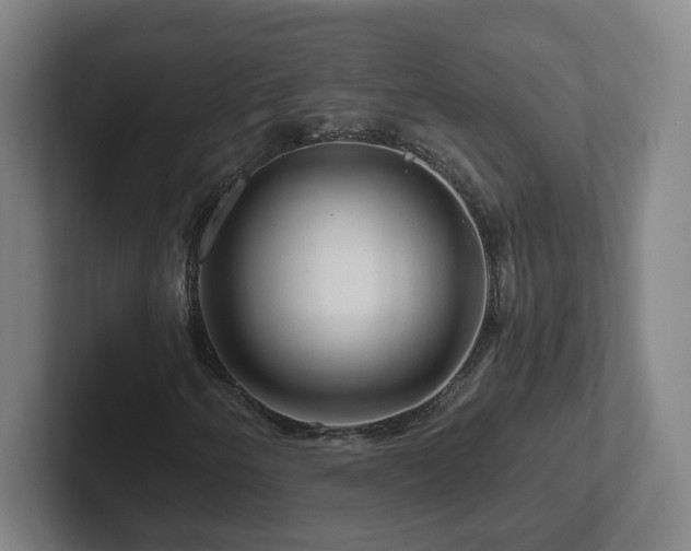 X0000101961250200807251147