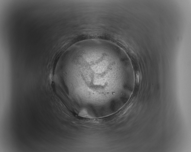 X0000101961251200807251147