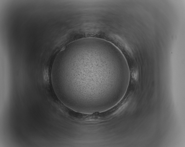 X0000101961252200807251147