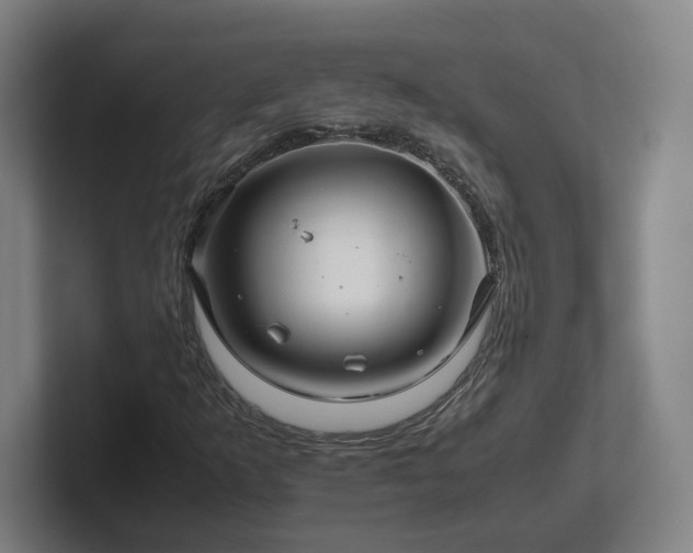 X0000101961253200807251147