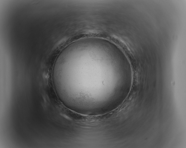 X0000101961254200807251147