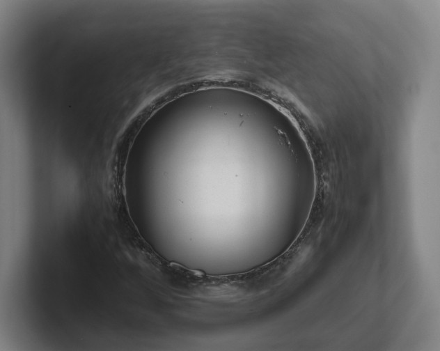 X0000101961256200807251147