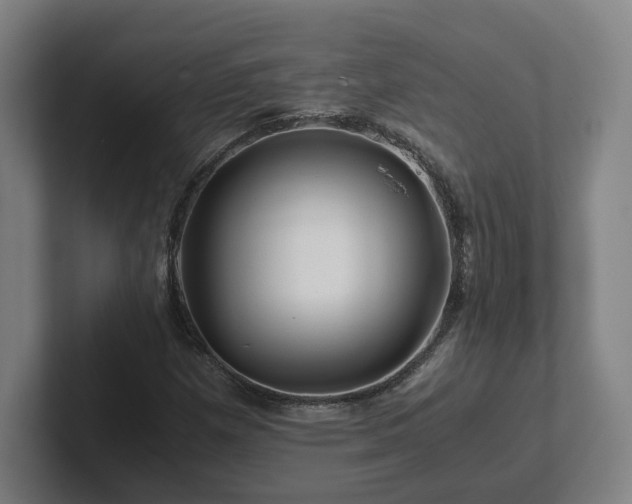 X0000101961257200807251147