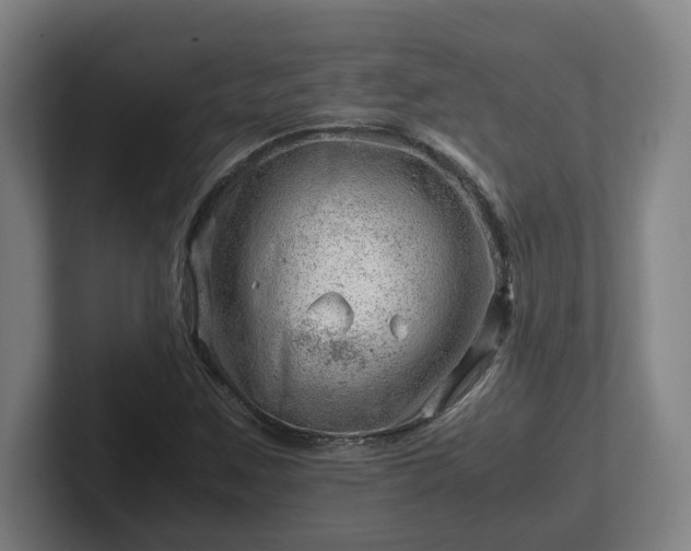 X0000101961259200807251147