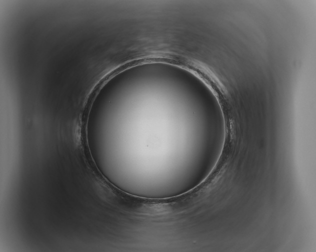 X0000101961260200807251147