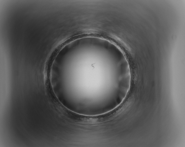 X0000101961261200807251147