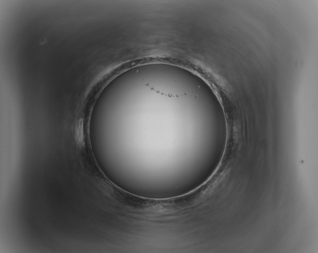 X0000101961262200807251147