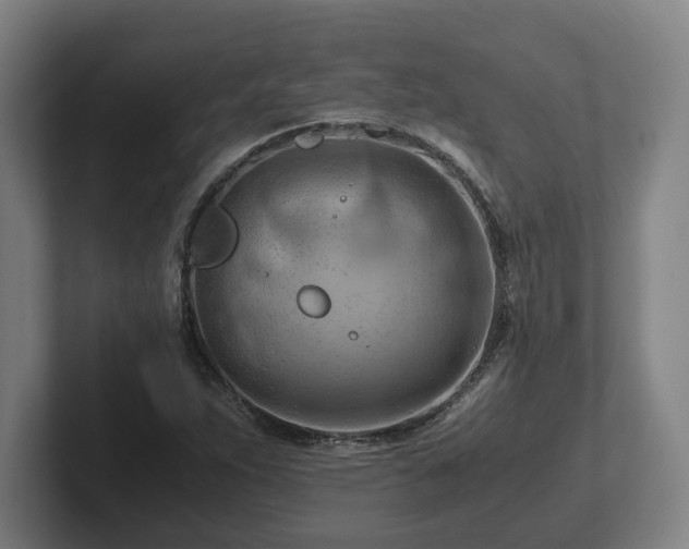 X0000101961263200807251147