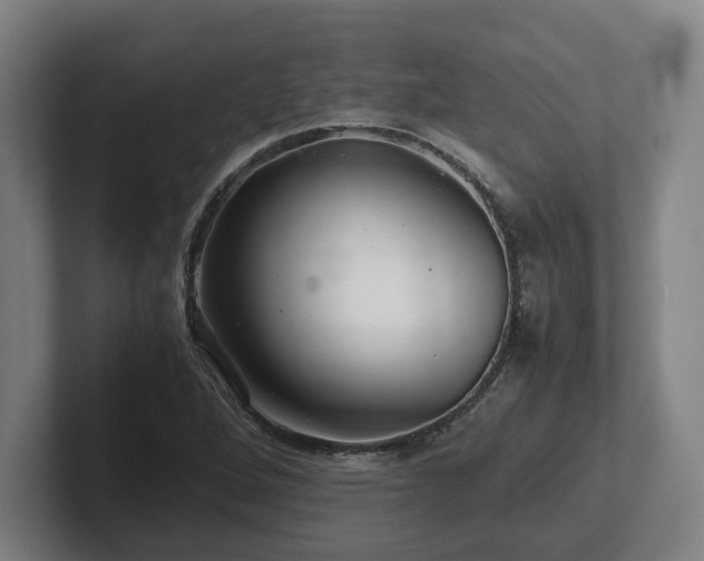 X0000101961264200807251147