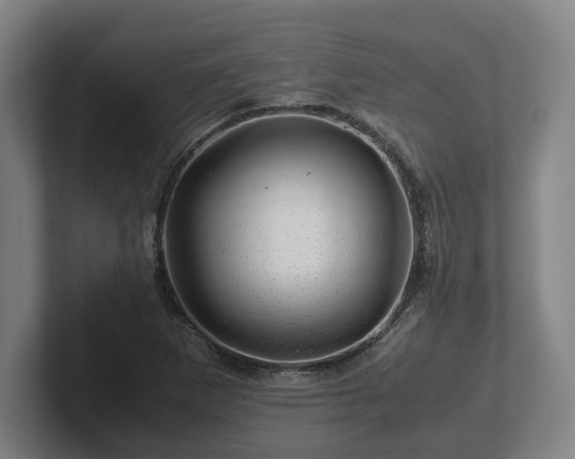 X0000101961265200807251147