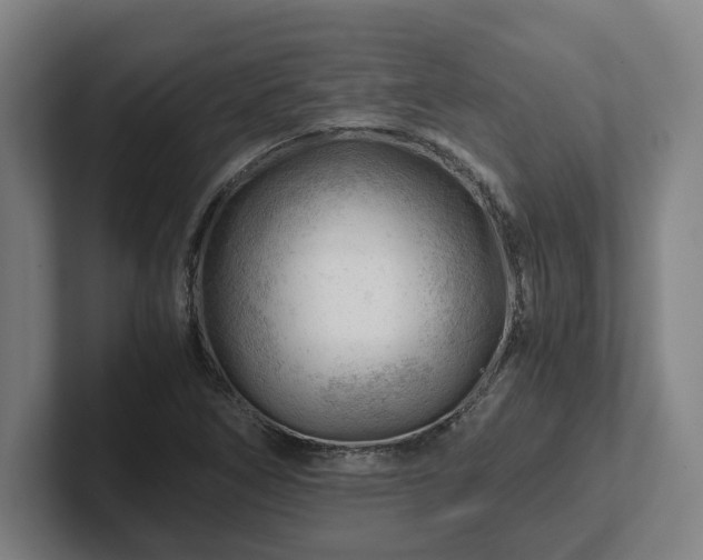 X0000101961266200807251147