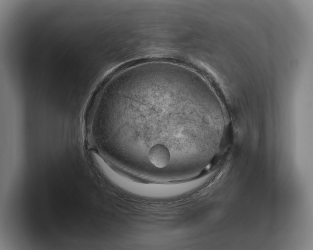 X0000101961267200807251147