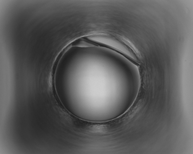 X0000101961268200807251147