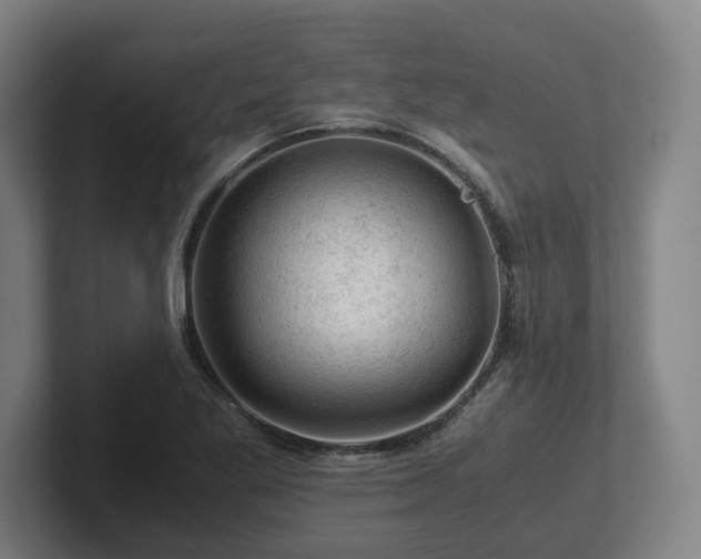 X0000101961269200807251147