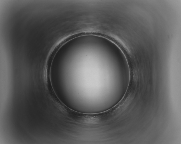 X0000101961270200807251147