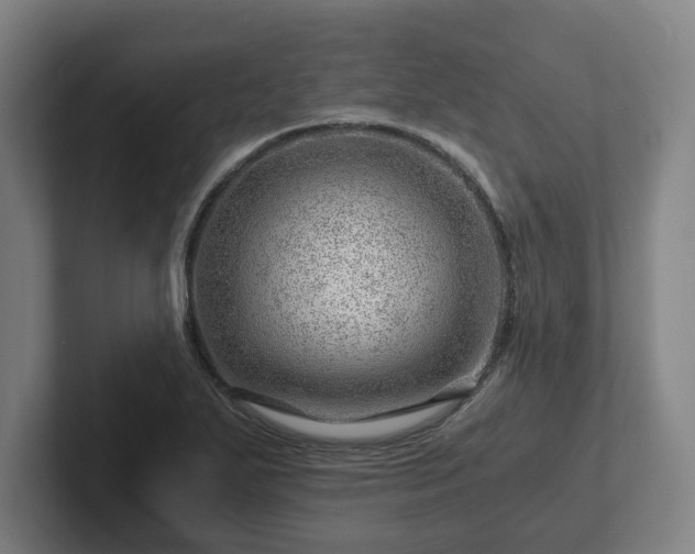 X0000101961271200807251147