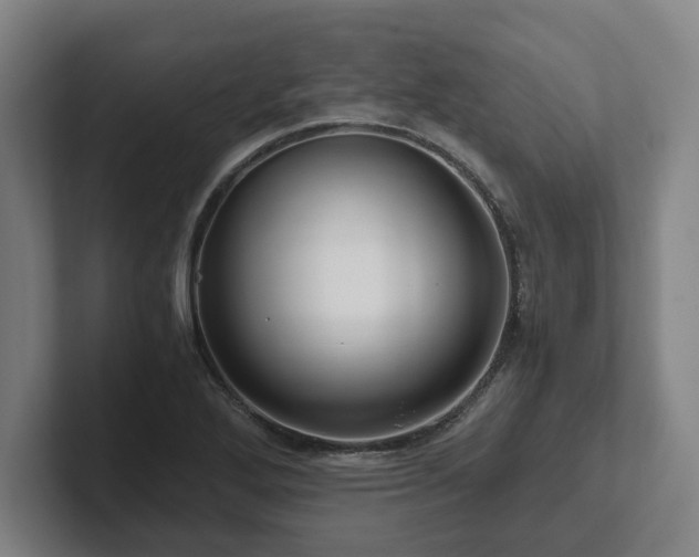 X0000101961272200807251147