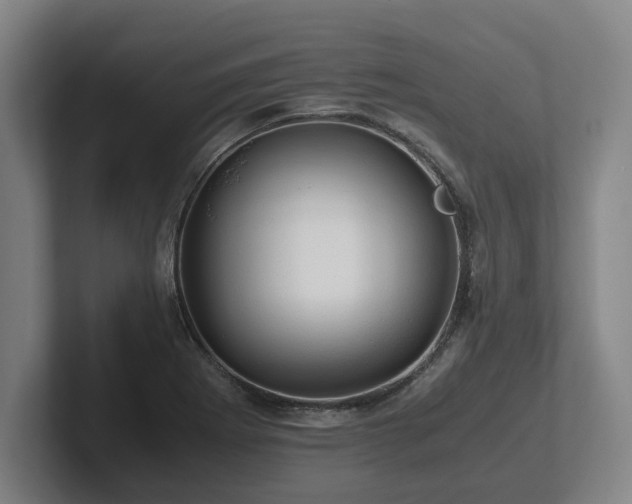 X0000101961273200807251147