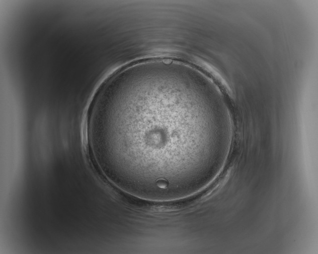 X0000101961275200807251147