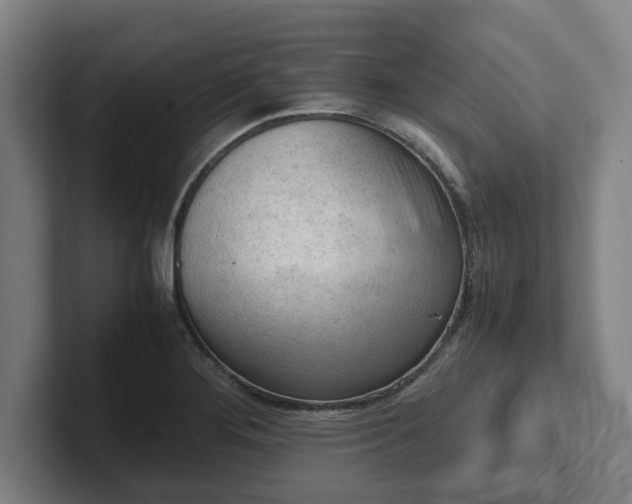 X0000101961276200807251147