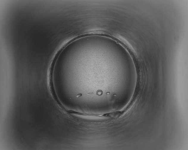 X0000101961277200807251147