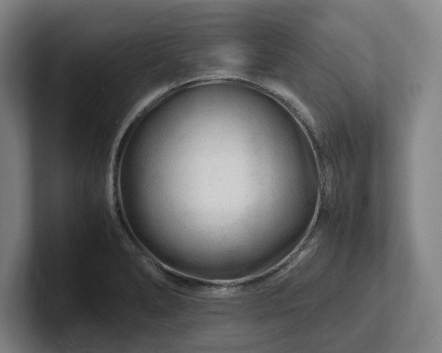 X0000101961278200807251147