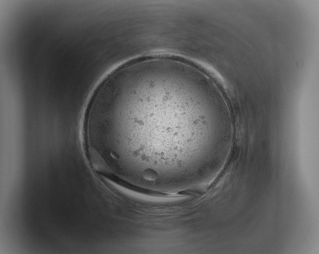 X0000101961279200807251147