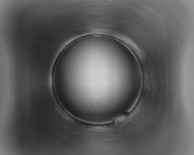 X0000101961280200807251147