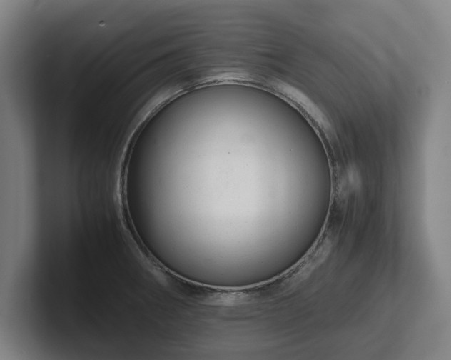 X0000101961282200807251147