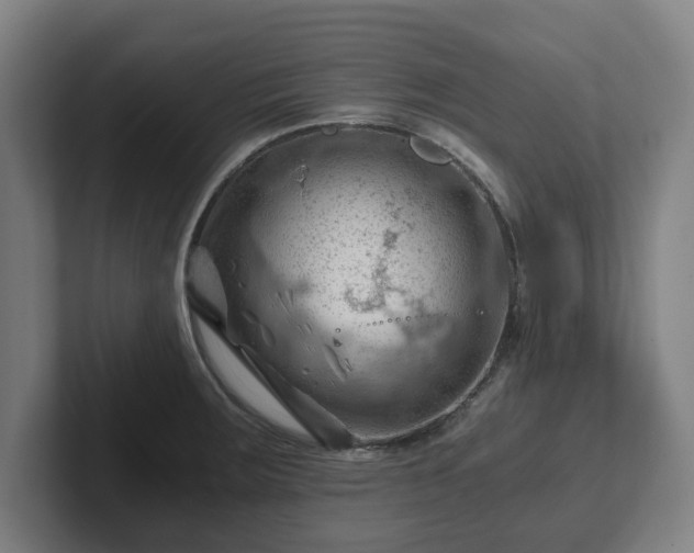 X0000101961283200807251147