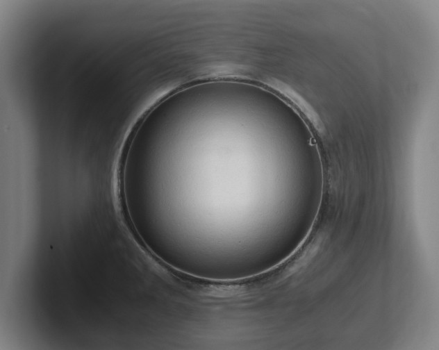 X0000101961285200807251147