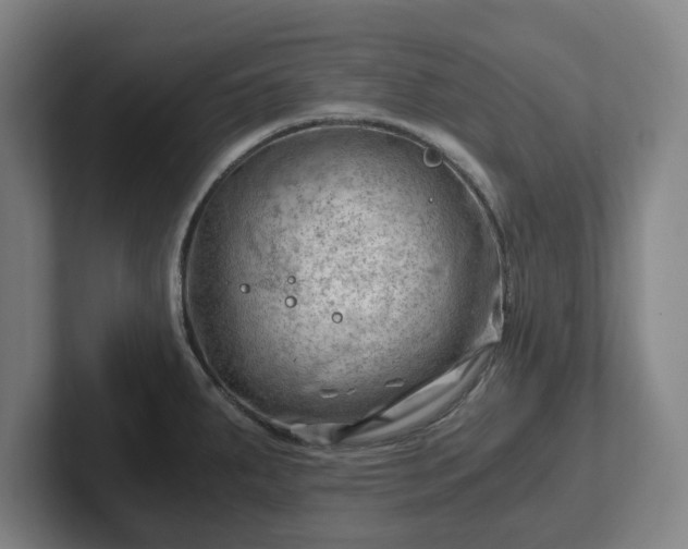 X0000101961287200807251147