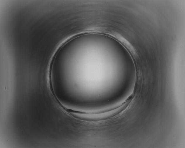 X0000101961288200807251147