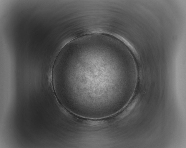 X0000101961289200807251147