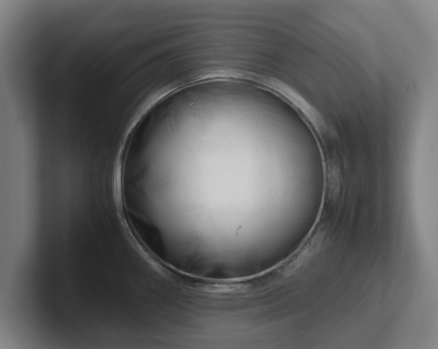 X0000101961290200807251147