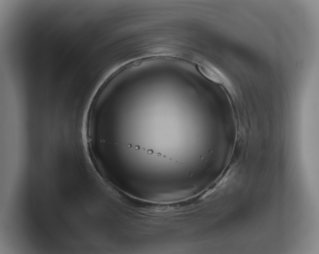 X0000101961291200807251147