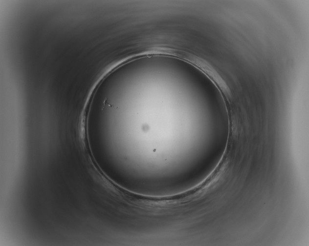 X0000101961292200807251147