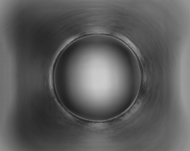 X0000101961293200807251147