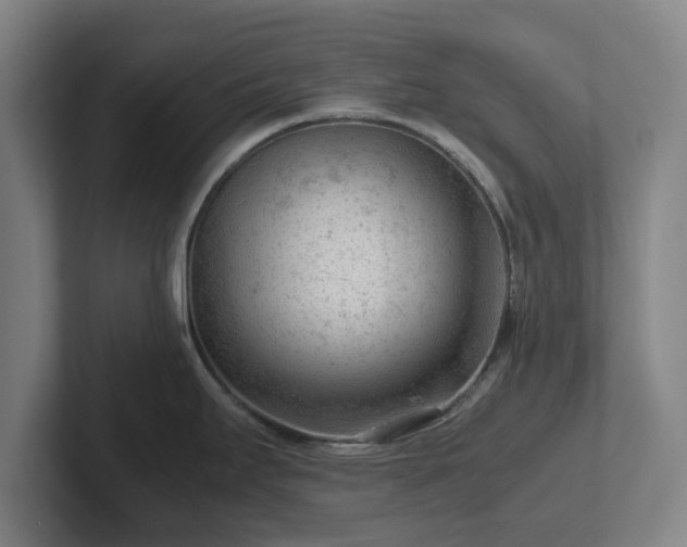 X0000101961295200807251147