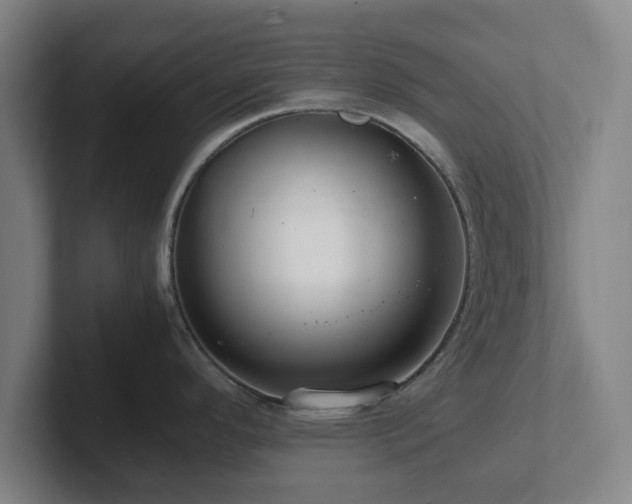 X0000101961296200807251147