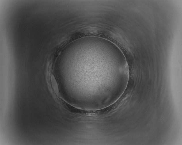 X0000101961297200807251146