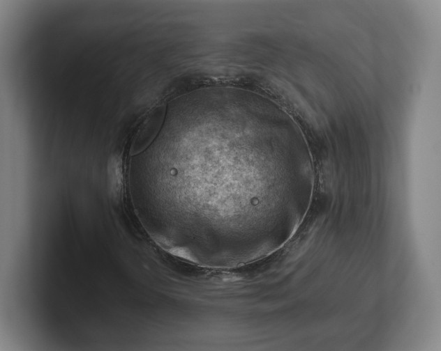 X0000101961298200807251146