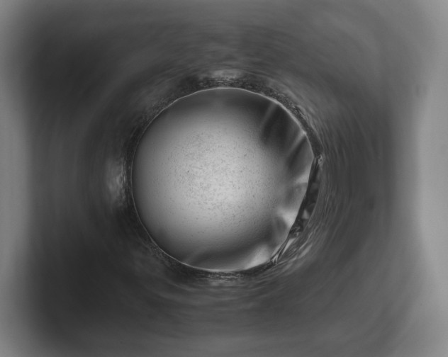 X0000101961299200807251146