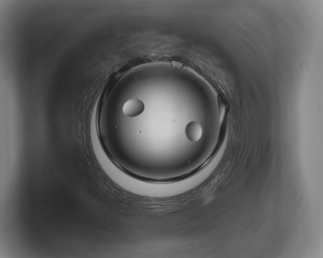 X0000101961300200807251146