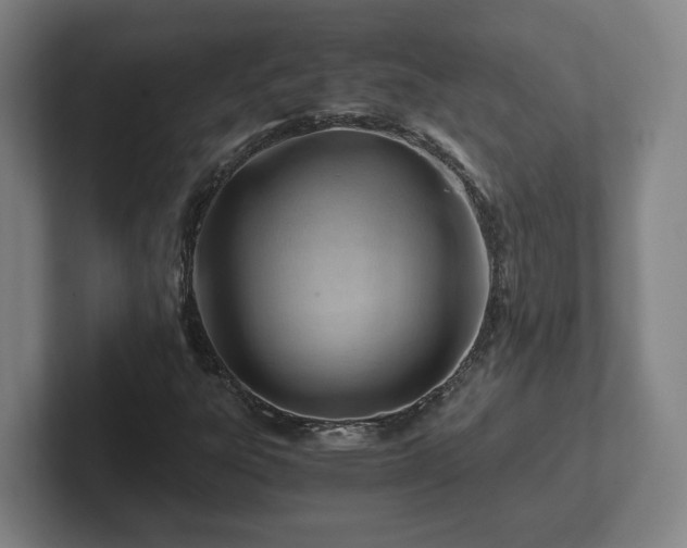 X0000101961303200807251146