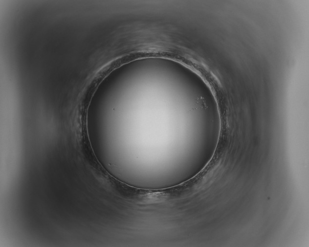 X0000101961304200807251146