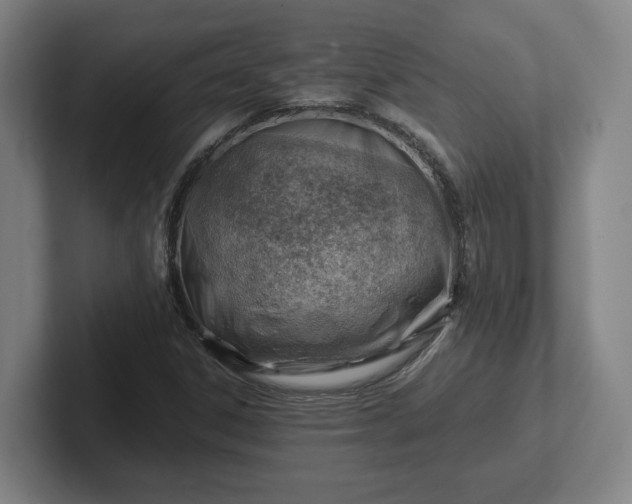 X0000101961306200807251146