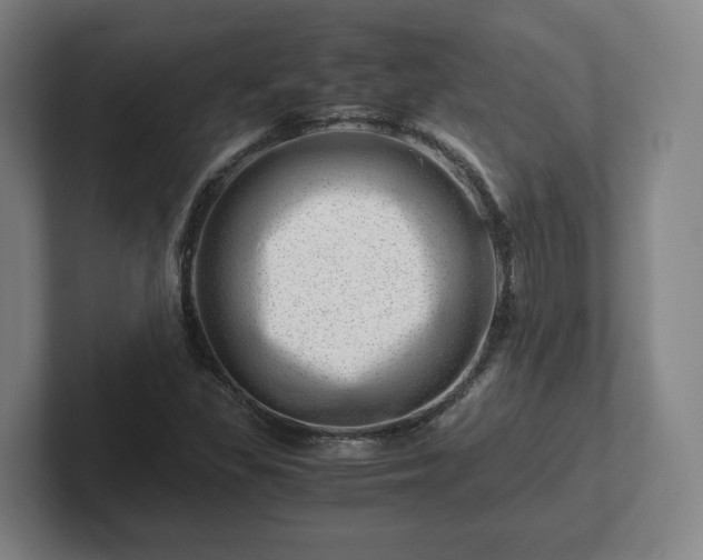 X0000101961309200807251146